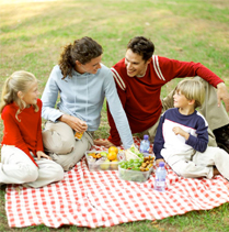 What to Include in Your Picnic Basket