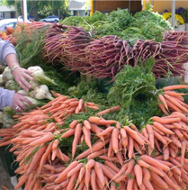 Top 10 Reasons Why I Love the Farmer's Market