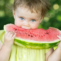 Is Every Meal with Your Toddler a Battle