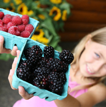 How To Help Your Child Choose Foods Wisely