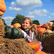 Pumpkin Day