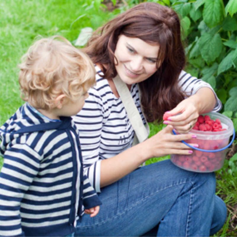 benefits of locally grown produce