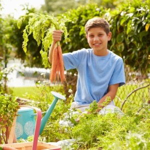 how to start a family garden