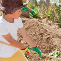 Important Steps to Start a Garden