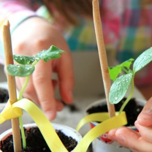 Benefits of gardening with kids