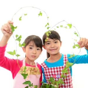 Raising Healthy Eaters Through School Nutrition Education