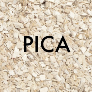 Pica in Toddlers and Preschoolers
