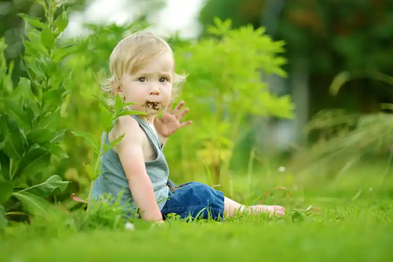 Understanding Pica in Youngsters and Toddlers: Causes, Signs, and Remedy