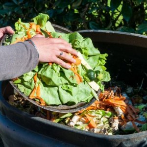 5 Tips to Reduce Food Waste