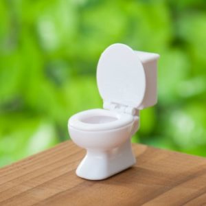 The Scoop on Poop: Part 1