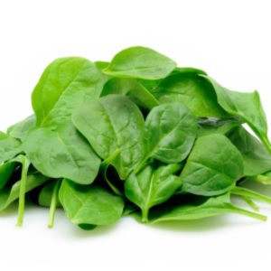 Young spinach leaves in isolated white background