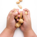 Children's Hand Holding Peanuts, isolated on a white background, introducing peanuts to your child - SuperKidsNutrition