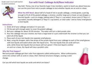 Cabbage Acid Base Indicator kids activity superkids nutrition