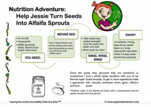 Turn Seeds into Alfalfa Sprouts kids activity superkids nutrition