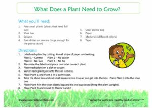 What Does a Plant Need to Grow activity sheet superkids nutrition