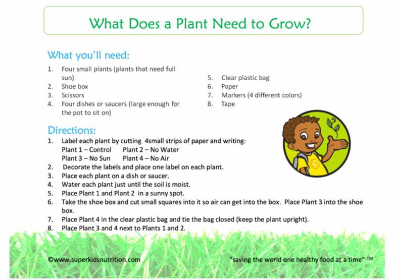 What Does a Plant Need to Grow? SuperKids Nutrition