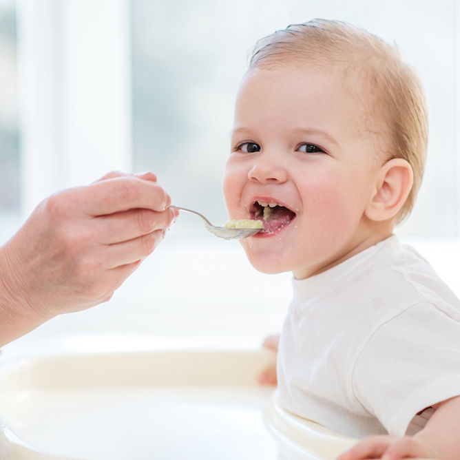 25 Breakfast Ideas For A 1 Year Old JINZZY